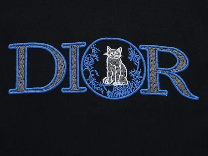 Dior T Shirts Short _SKUDiorS-XL8qx0415803